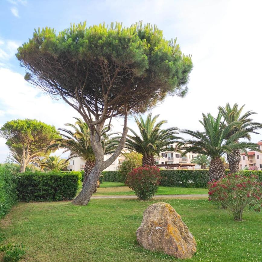 Les Capitelles 5 - Acces Direct A La Plage Depuis Le Jardin - T2 Avec Cabine - 6 Pers - Jardin - Piscine - Parking Saint-Cyprien  Exterior photo